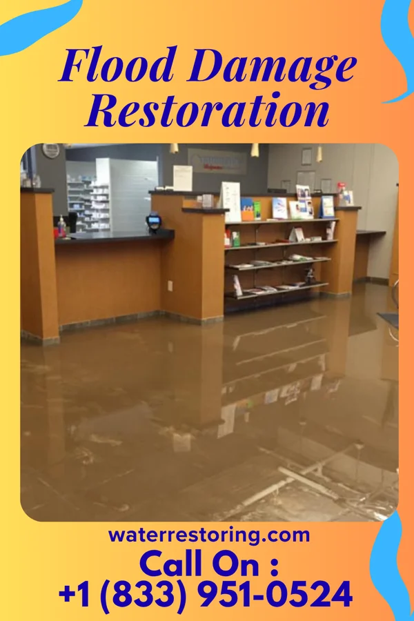 Flood Damage Restoration in Patterson Heights, PA