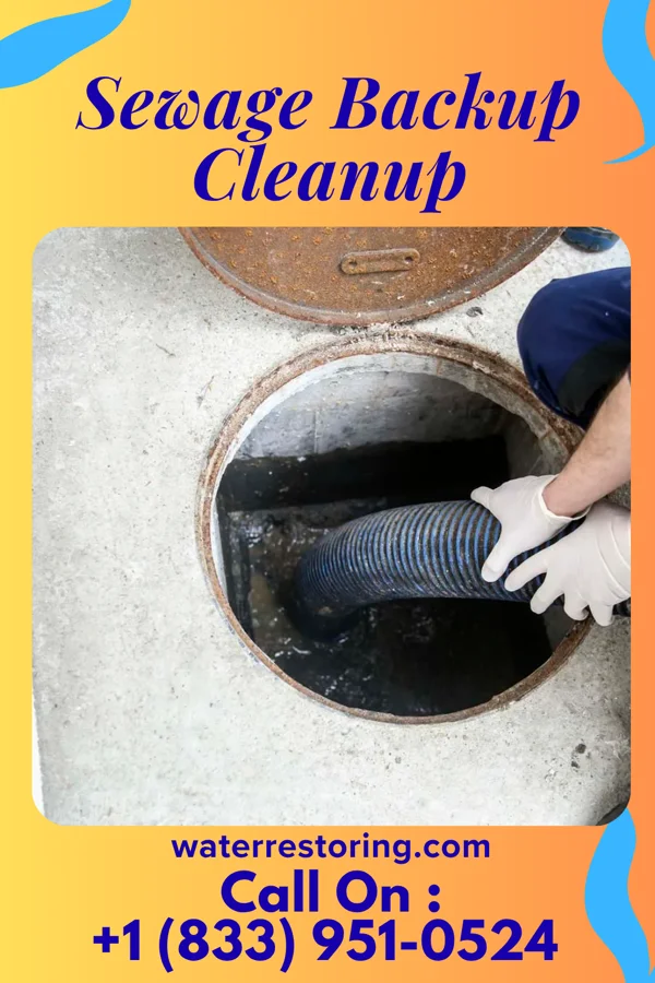Sewage Backup Cleanup in Patterson Heights, PA