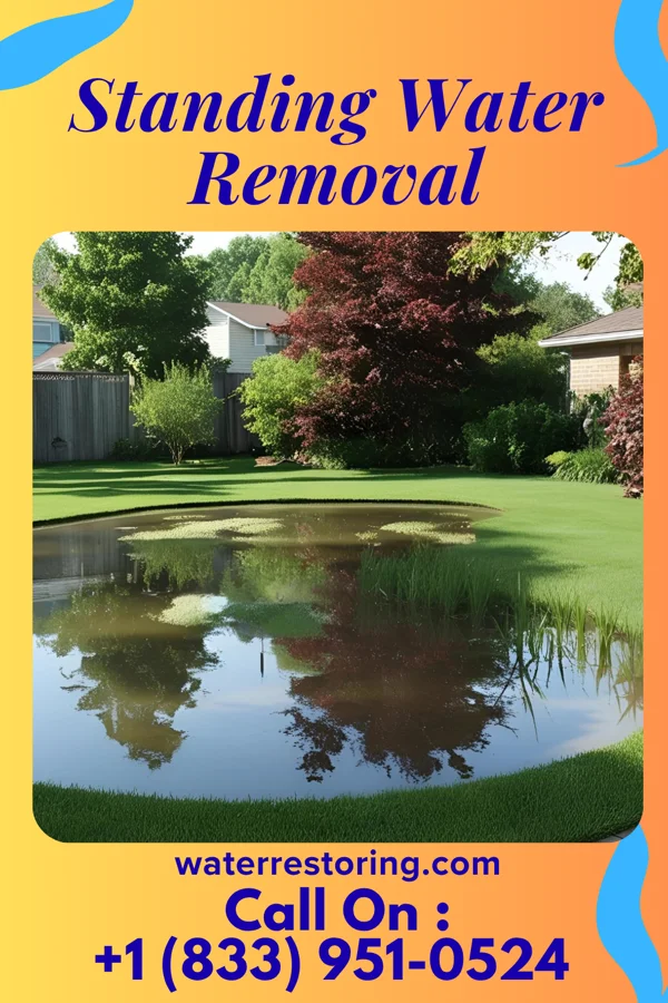 Standing Water Removal in Patterson Heights, PA